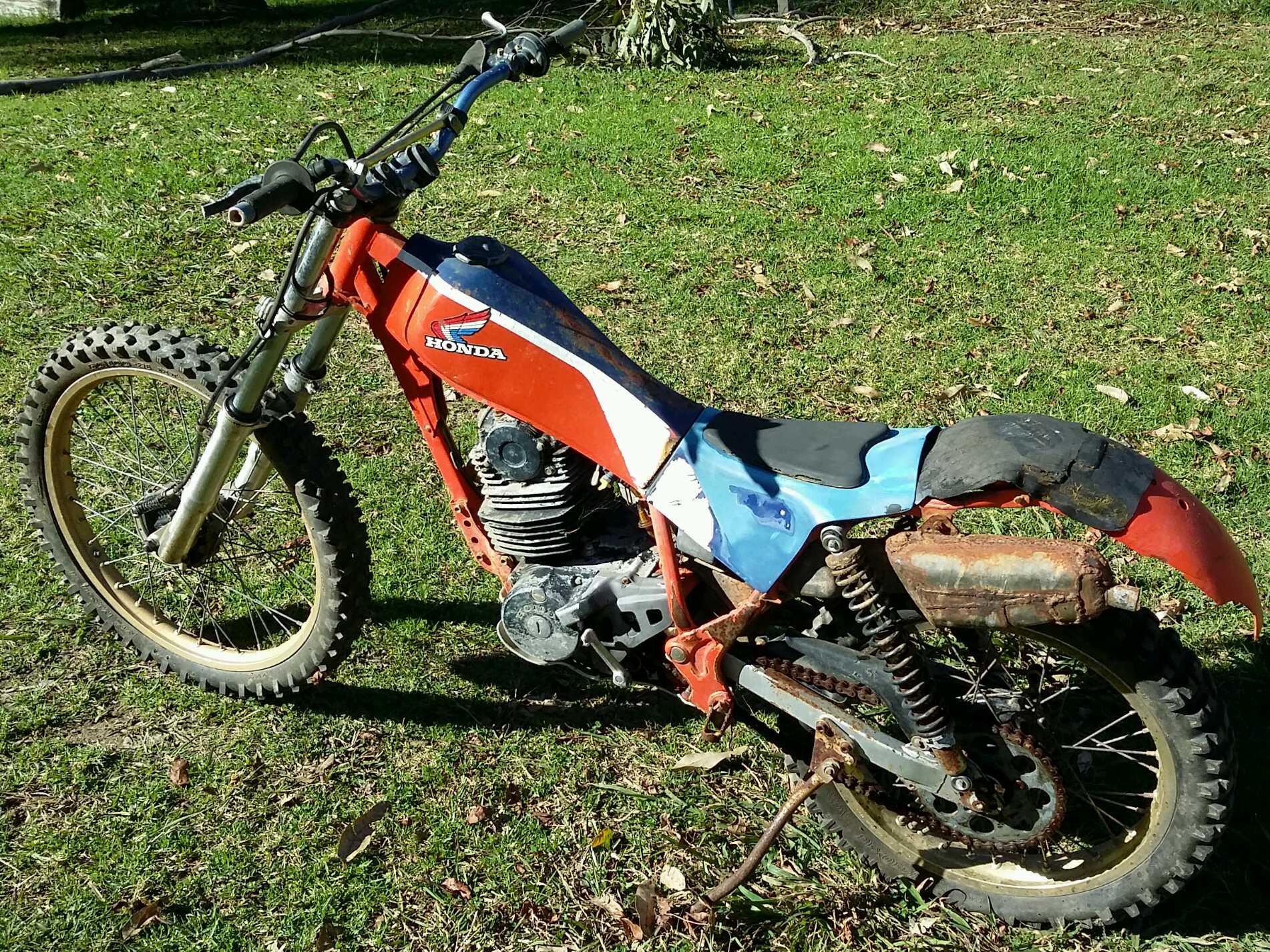 Basket Cases Trials Australia